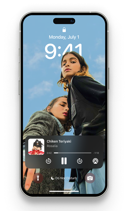 Qartit store on iPhone